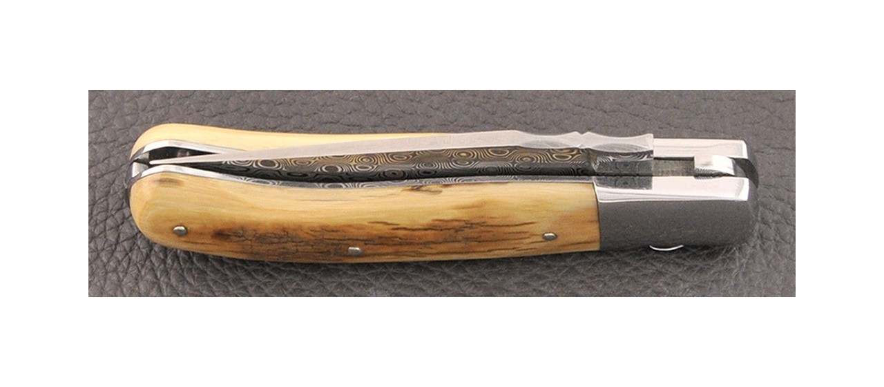 Laguiole Knife Gentleman Damascus Range Mammoth Ivory