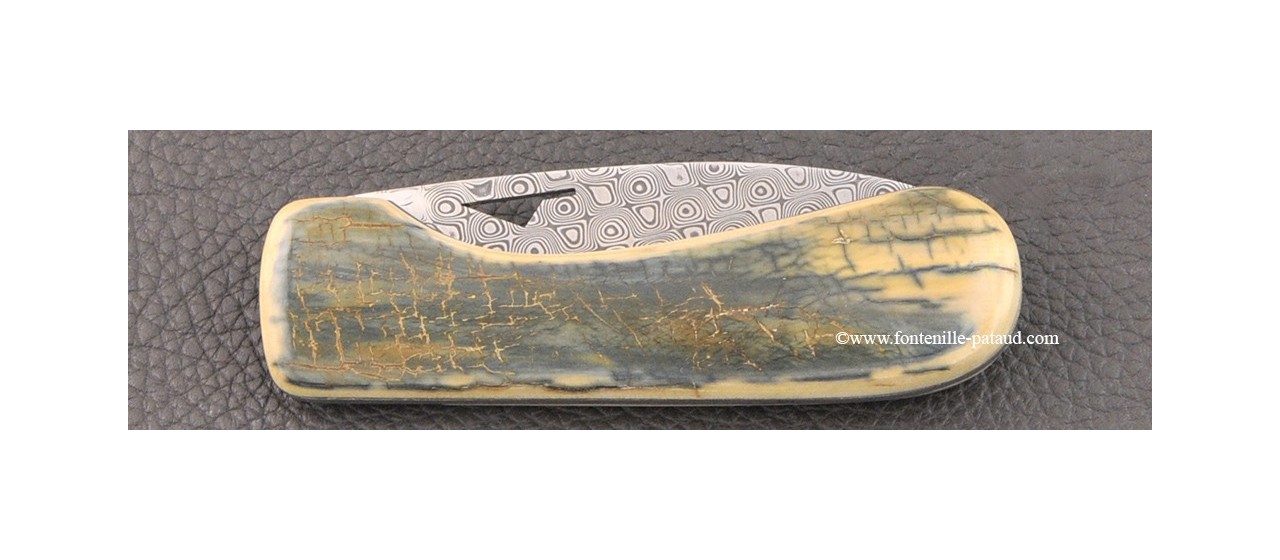 Corsican U Cumpa knife Damascus Range Blue fossilized mammoth