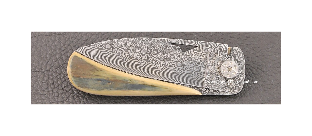 Corsican U Cumpa knife Damascus Range Blue fossilized mammoth