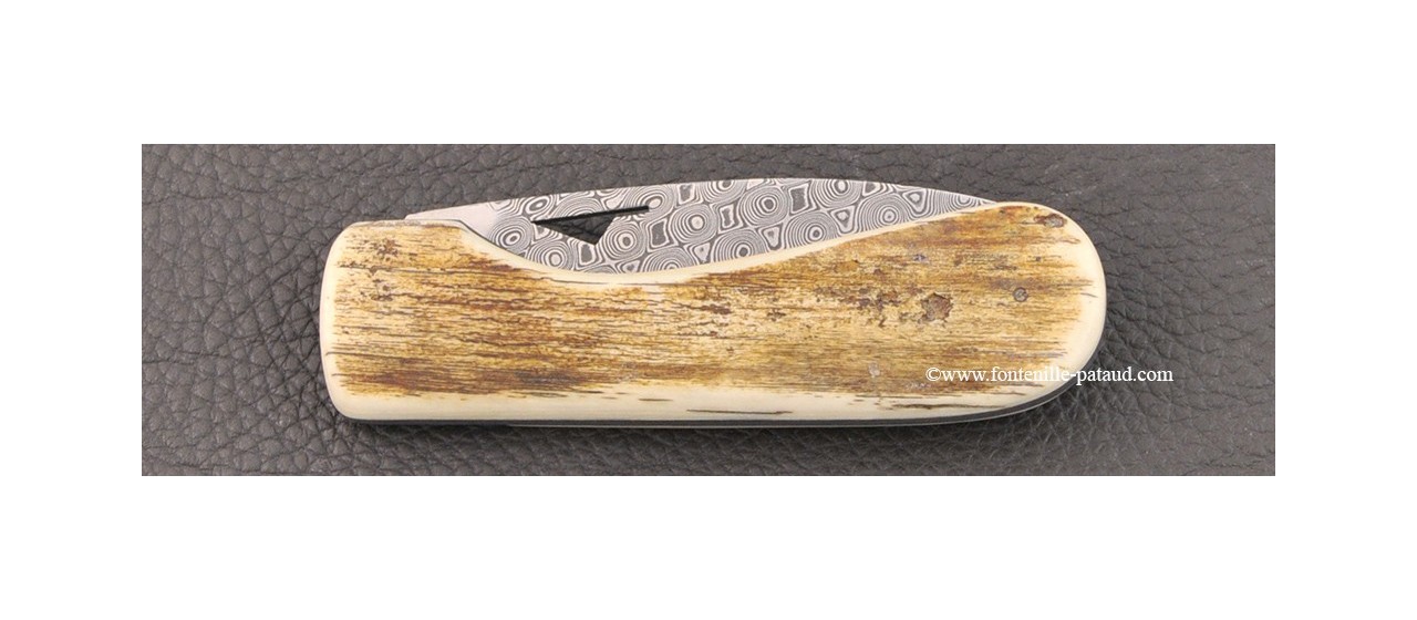 Corsican U Cumpa knife Damascus Range Mammoth ivory