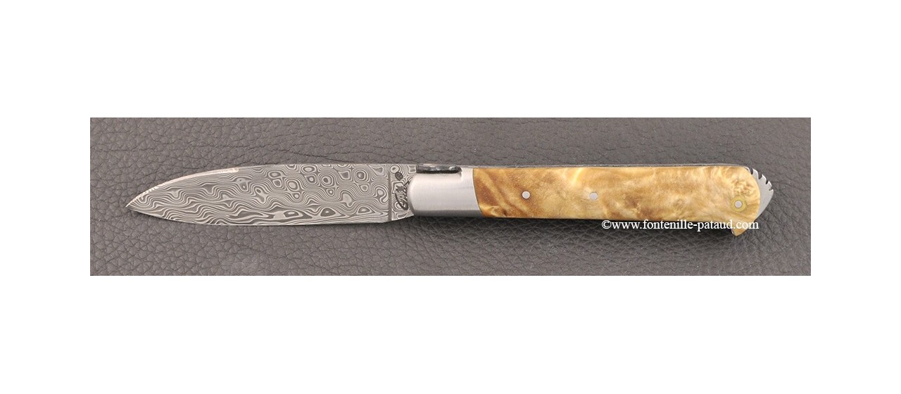 5 Coqs knife damascus range Stabilized poplar burl