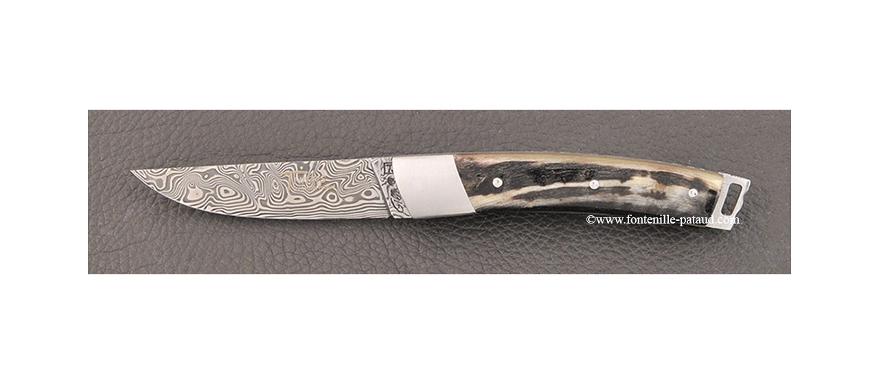 Le Thiers® Nature knife Damascus dark ram horn handle