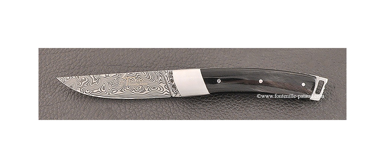 Le Thiers® Nature knife Damascus buffalo horn handle