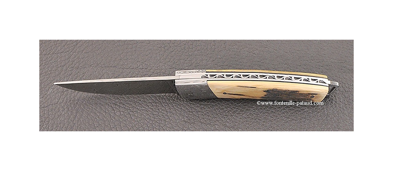 Le Thiers® Nature knife Damascus mammoth ivory