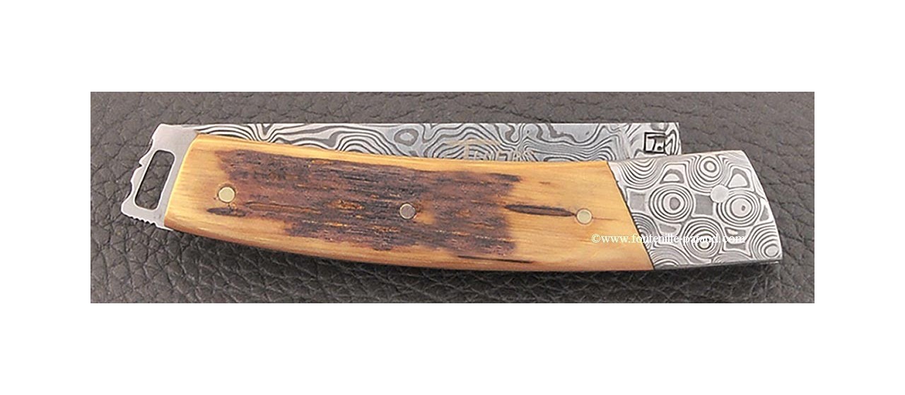 Le Thiers® Nature knife Damascus mammoth ivory