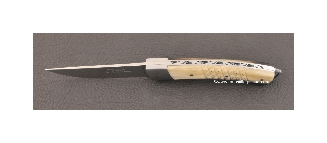 Le Thiers® Nature Needles cow horn tip knife