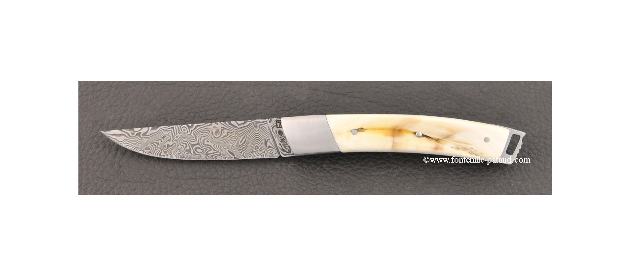 Le Thiers® Nature knife Damascus dark warthog handle
