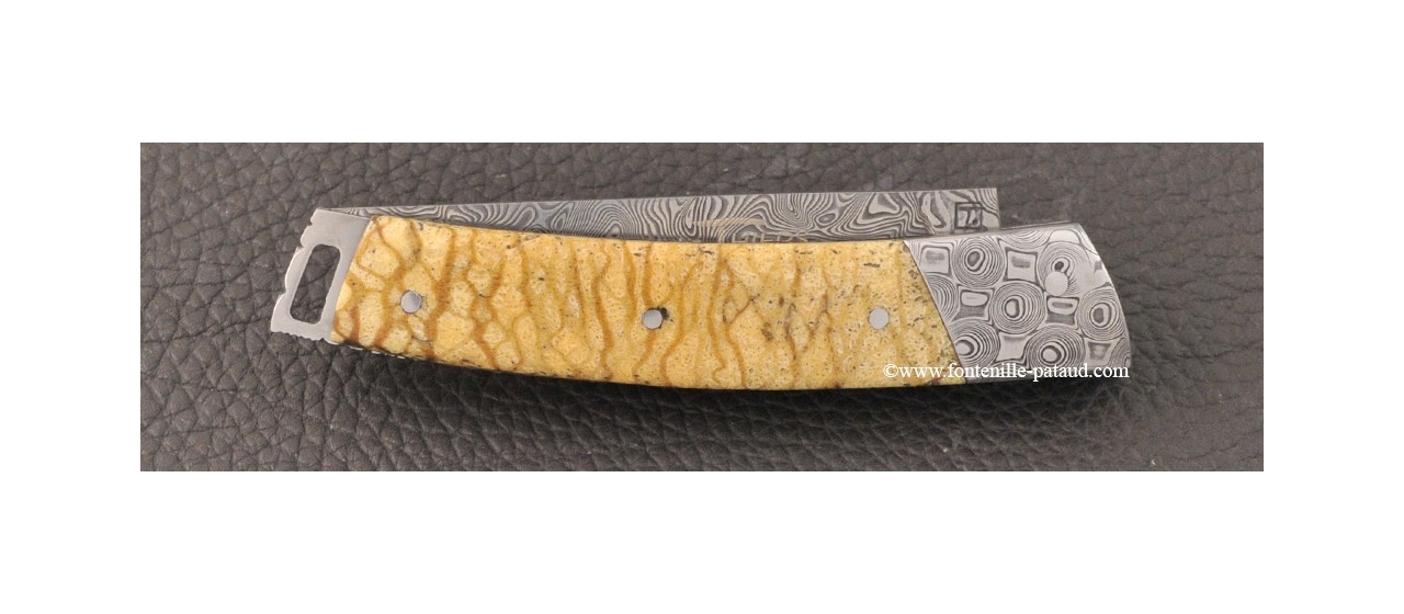 Le Thiers® Nature knife Damascus tiger coral