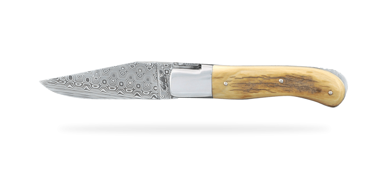 Laguiole Gentleman Damascus Range Brown Mammoth ivory