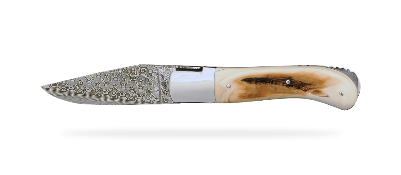 Laguiole Gentleman Damascus Range Warthog Ivory