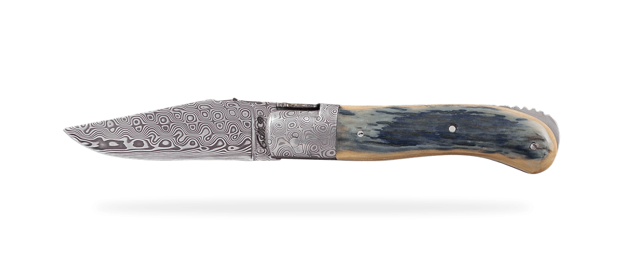 Laguiole Gentleman Damascus Range Blue fossilized Mammoth Ivory Delicate file work