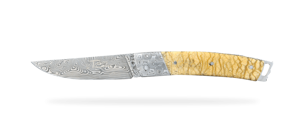 Le Thiers® Pocket Damascus Tiger coral, delicate filework