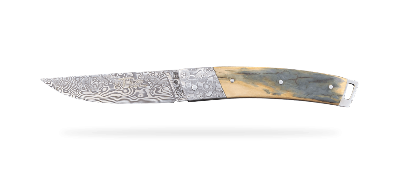 Le Thiers® Pocket Damascus Blue Mammoth ivory, delicate filework