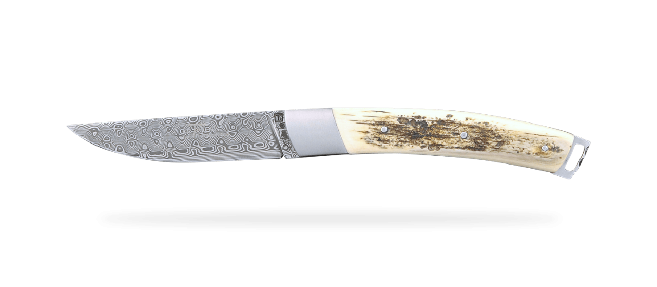 Le Thiers® Nature Damascus Brown Mammoth