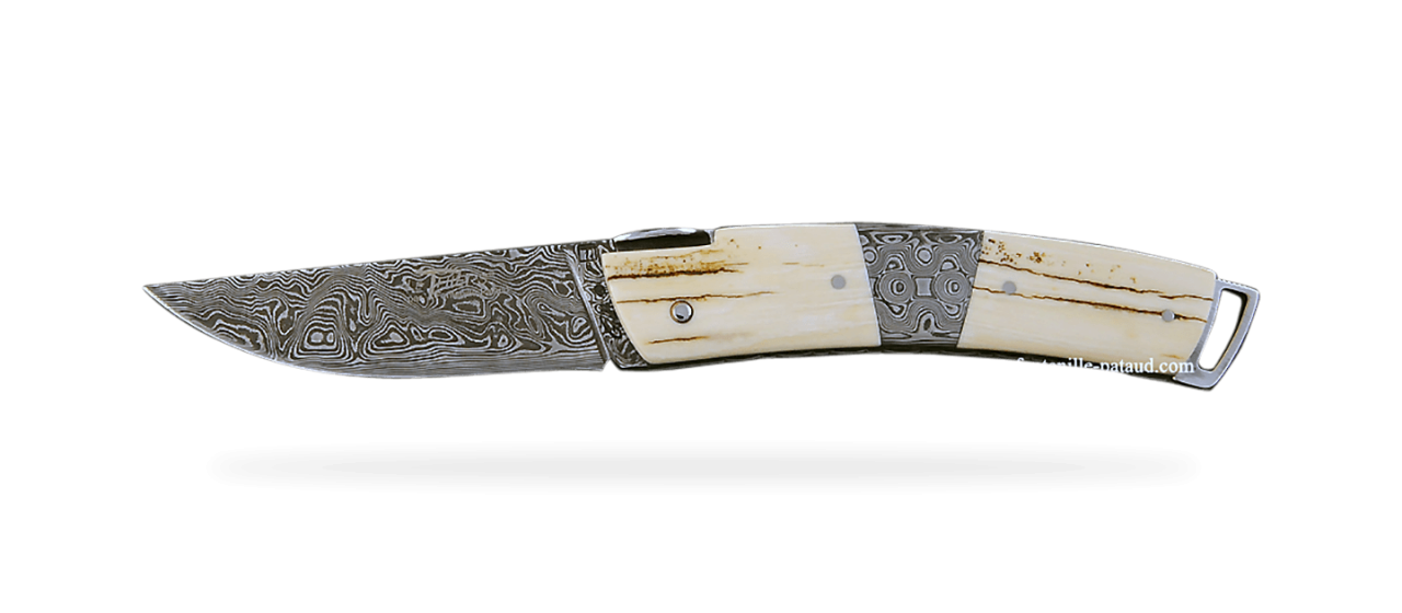 Mammoth Molar Handled Steak Knives: African Sporting Creations