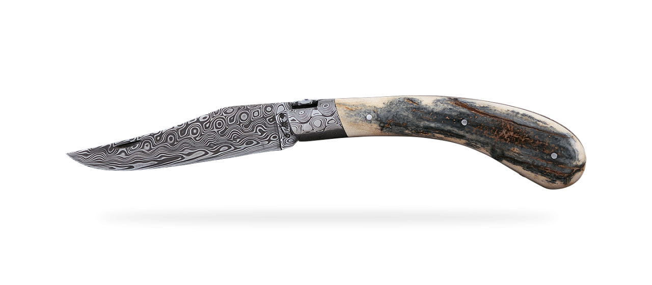 "Le Capuchadou®" 12 cm handmade knife, blue mammoth & Damascus, delicate filework