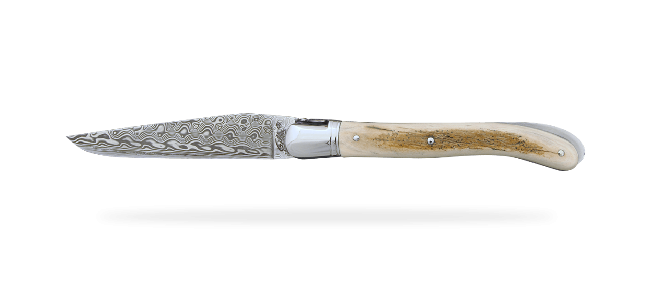 Laguiole Nature Damascus Range Mammoth Ivory