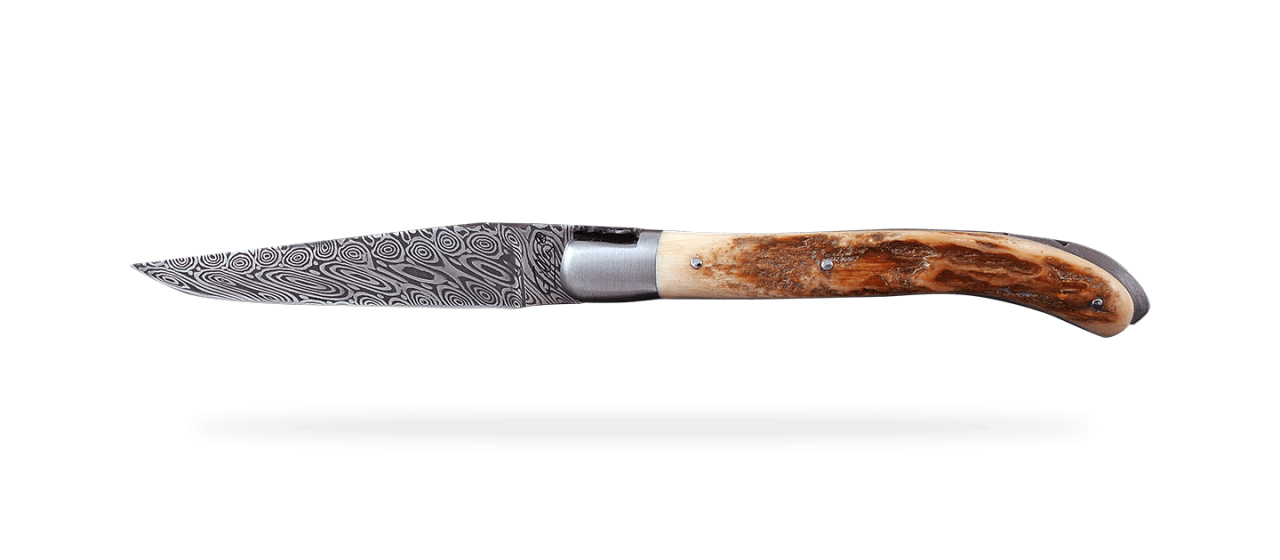 Laguiole XS Damascus Range Fossilized mammoth