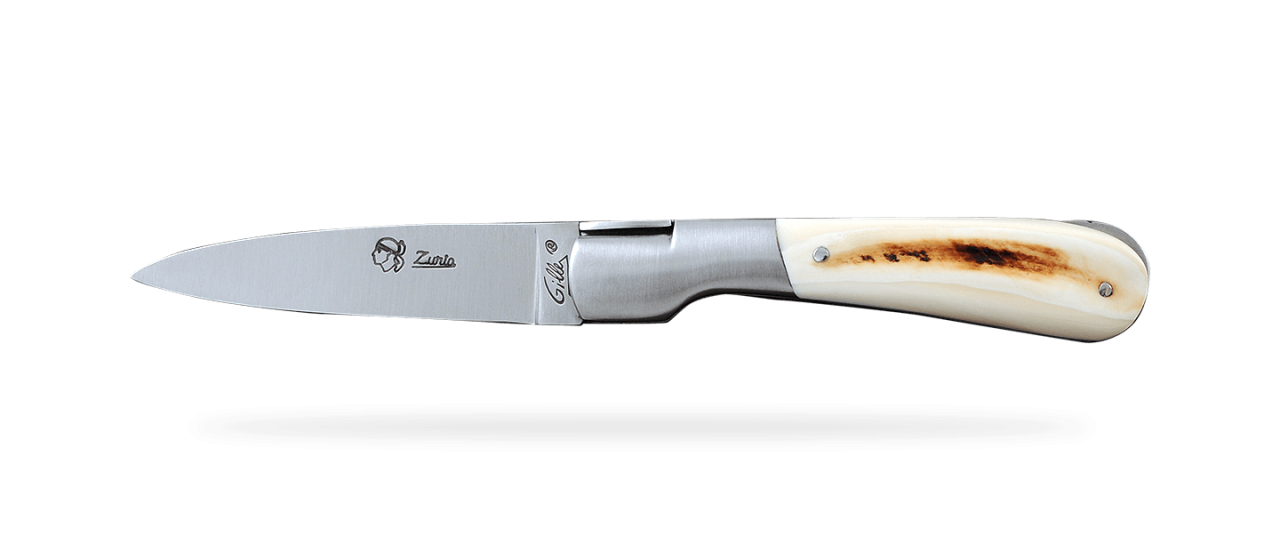 Corsican Pialincu Classic Range Warthog Ivory