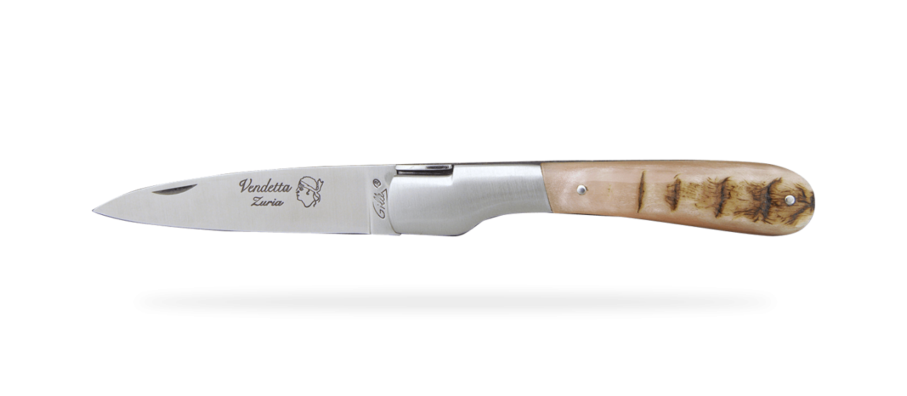 Corsican Vendetta Traditional Range Ram horn