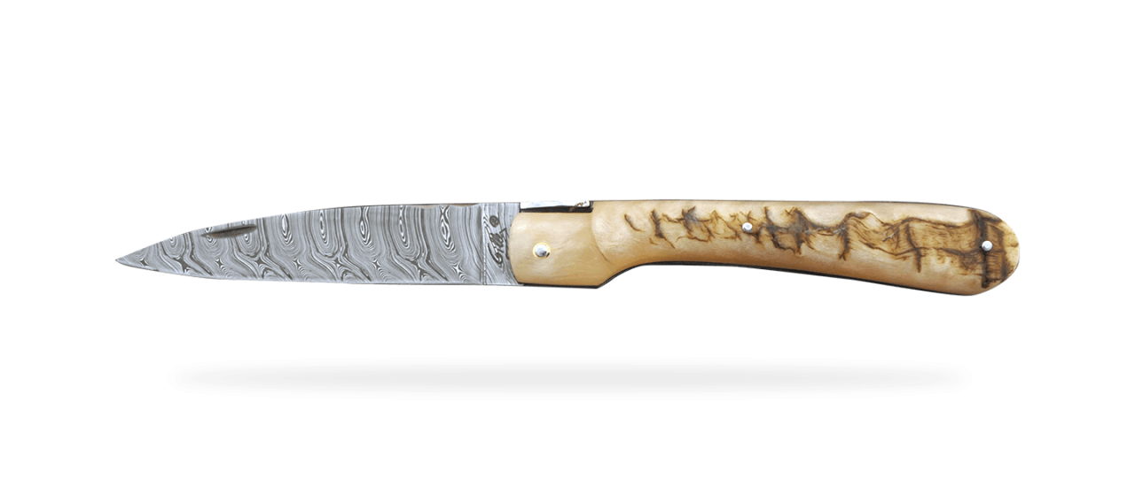 Corsican Vendetta Damascus Range Full handle Ram horn