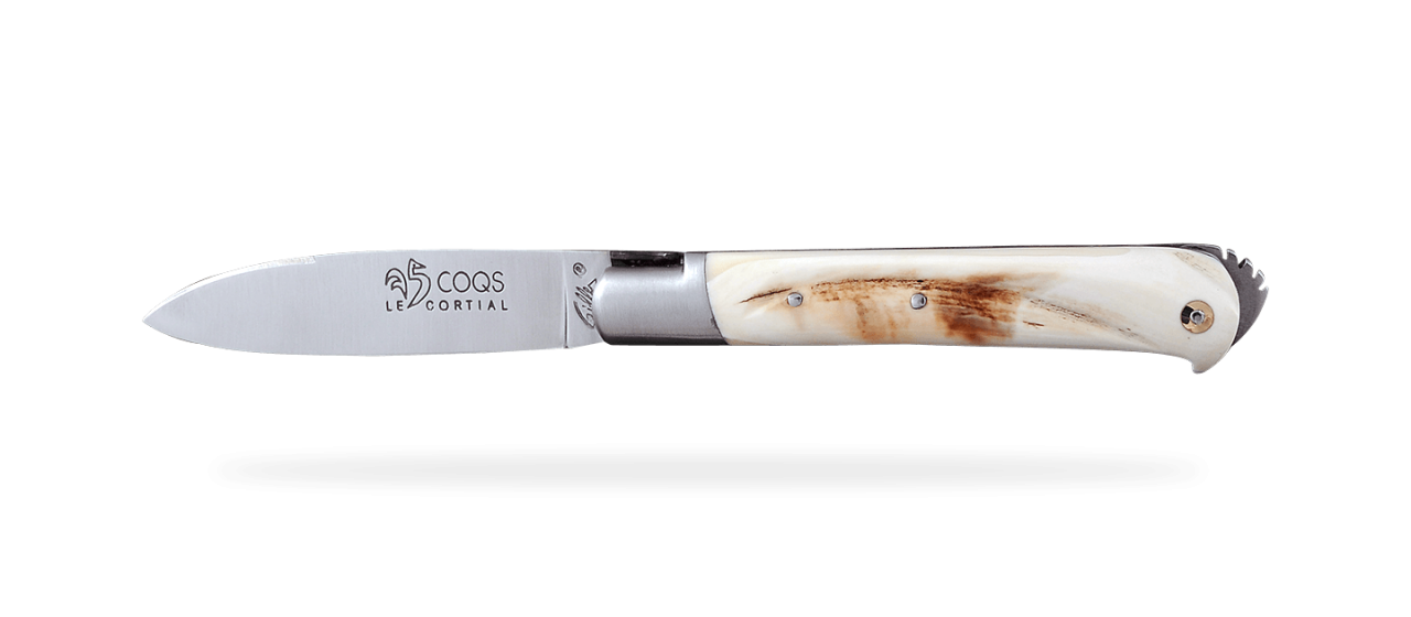 5 Coqs knife Classic Range Warthog
