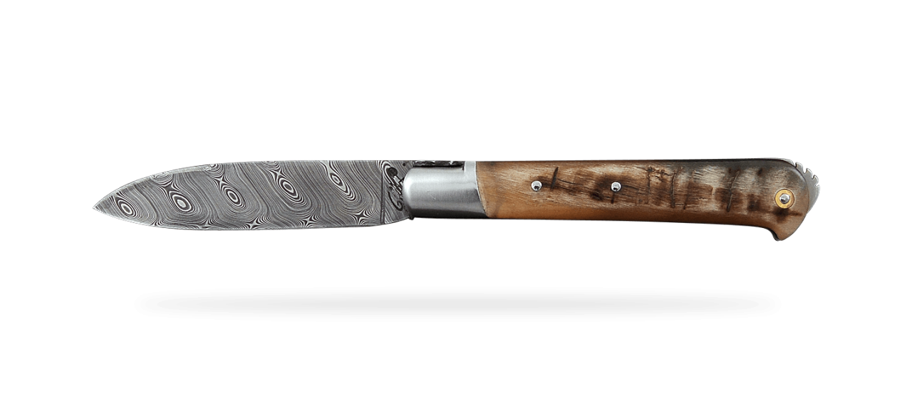 5 Coqs knife Damascus Range Ram horn