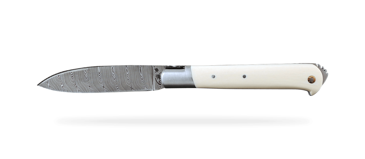 5 Coqs knife Damascus Range White Mammoth ivory