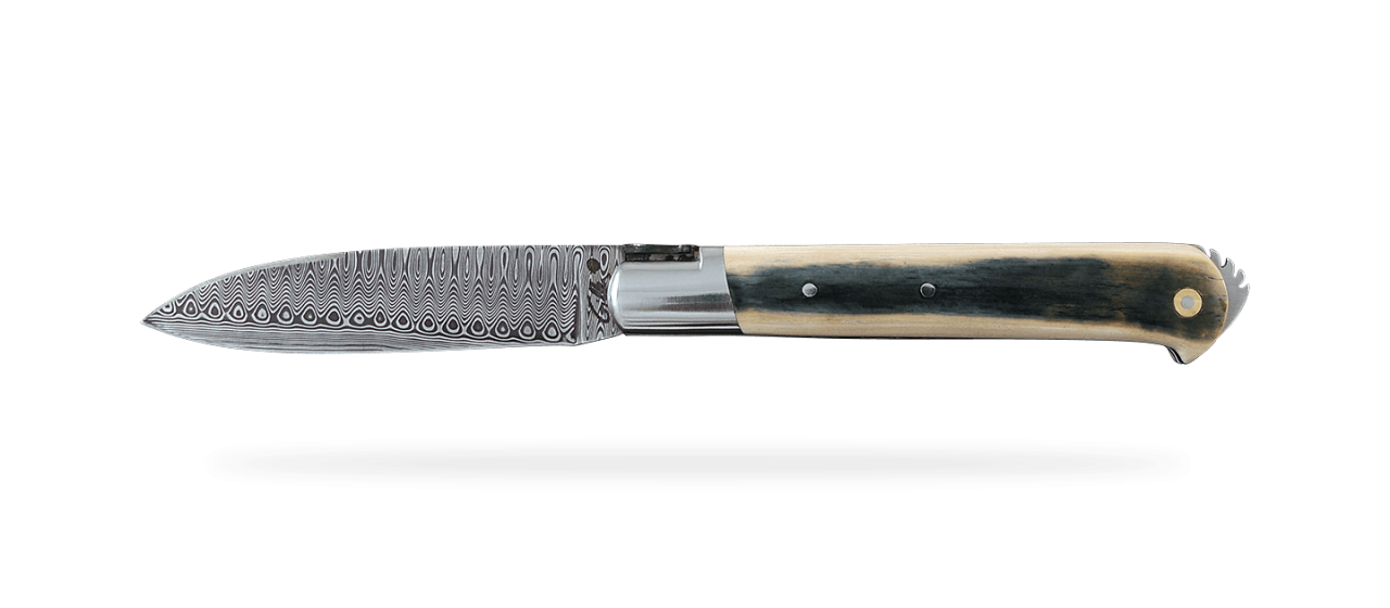 5 Coqs knife "Exeption" Range Blue mammoth ivory, delicate file work