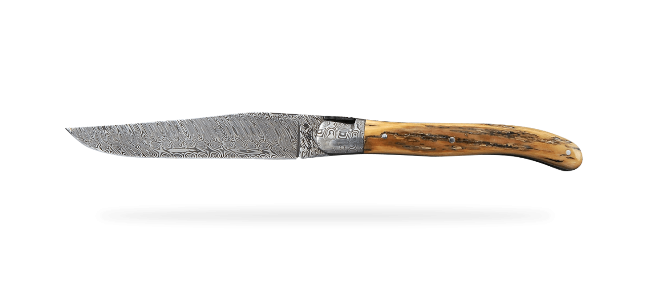 Set of 2 Laguiole Steak Knives Damascus Fossilized Mammoth Ivory