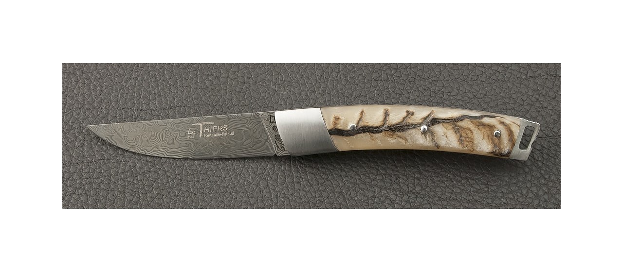 Le Thiers® Nature knife Damascus real ram horn handle