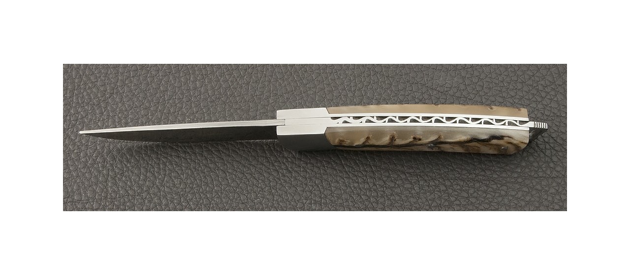 Le Thiers® Nature knife Damascus real ram horn handle