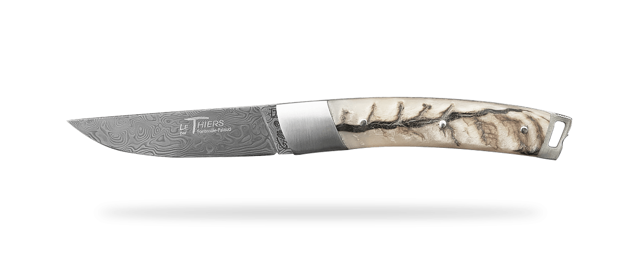 Le Thiers® Nature knife Damascus real ram horn handle