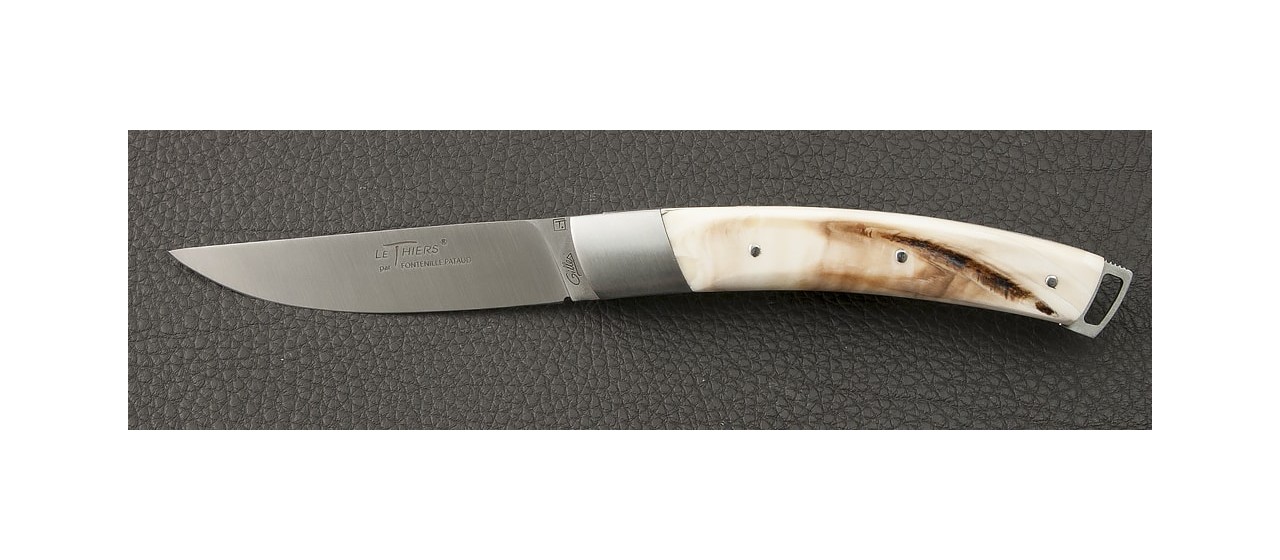 Le Thiers® Nature Warthog knife handmade in France