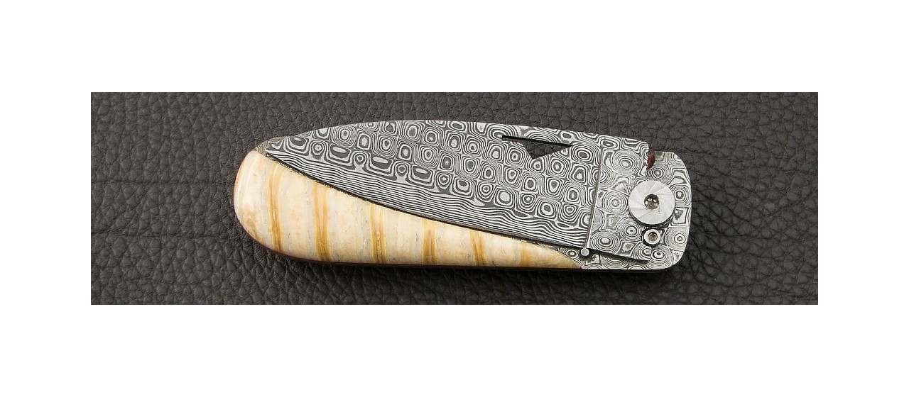 Corsican U Cumpa Damascus Range Molar tooth of mammoth knife made in France