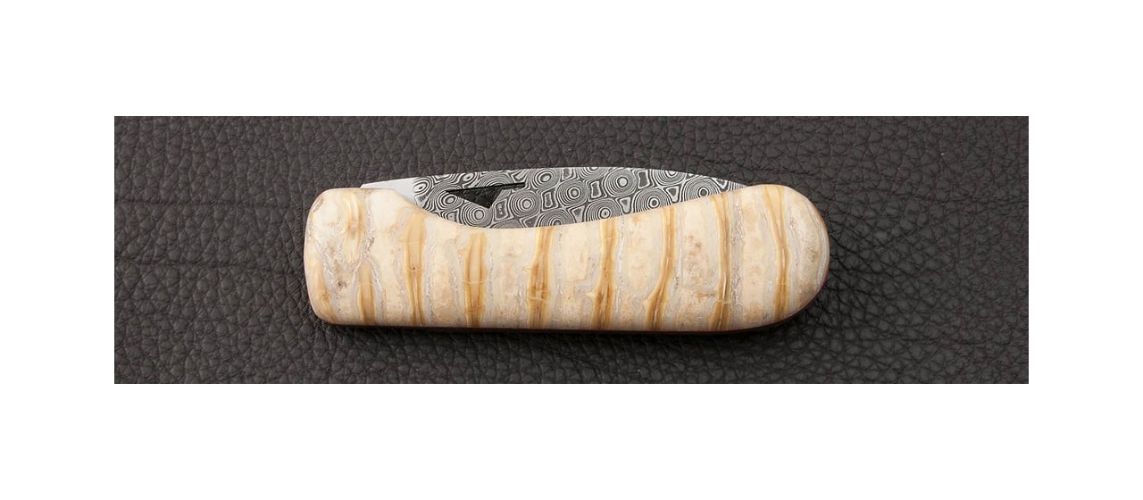 Couteau U Cumpa Corse Damas Molaire de Mammouth fossile made in France