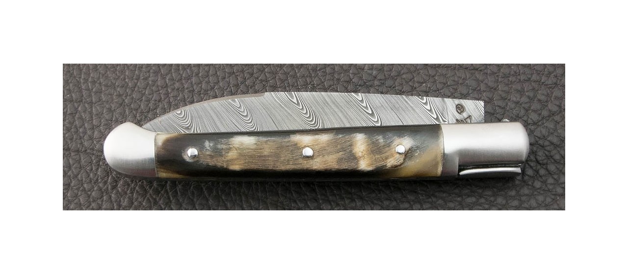 Saint Martin Damascus Dark Ram Horn knife handmade in France