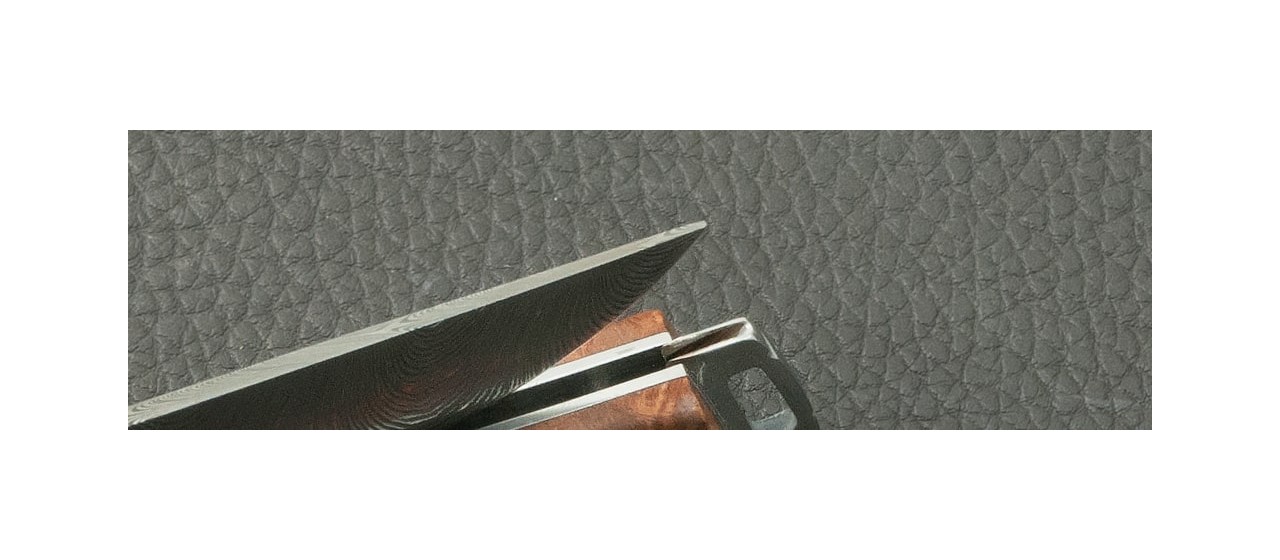 Couteau Le Thiers® Pocket Damas Loupe d'Amboine