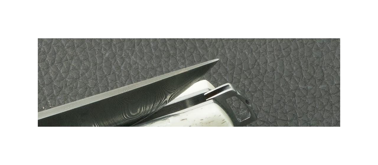 Le Thiers® Nature Damascus "Needles" Real Bone knife made in France