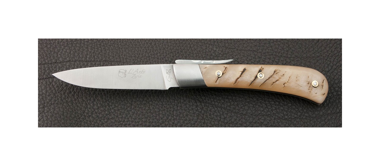 Corsican folding knife L' Antò Classic Range Ram horn