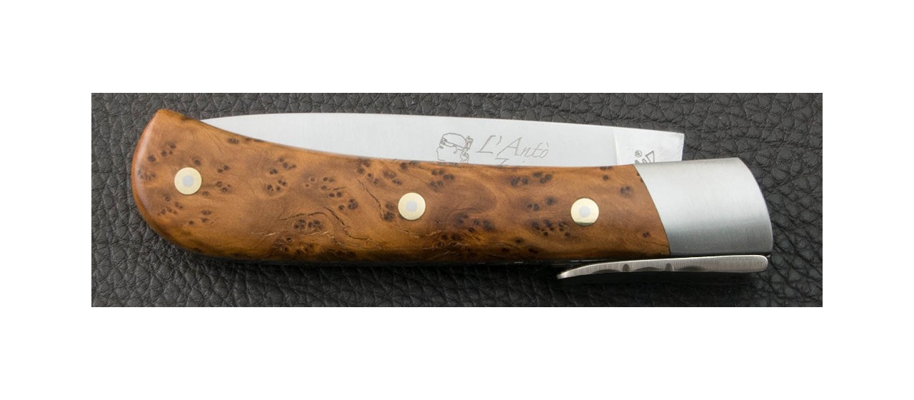 Corsican knife Thuya burl