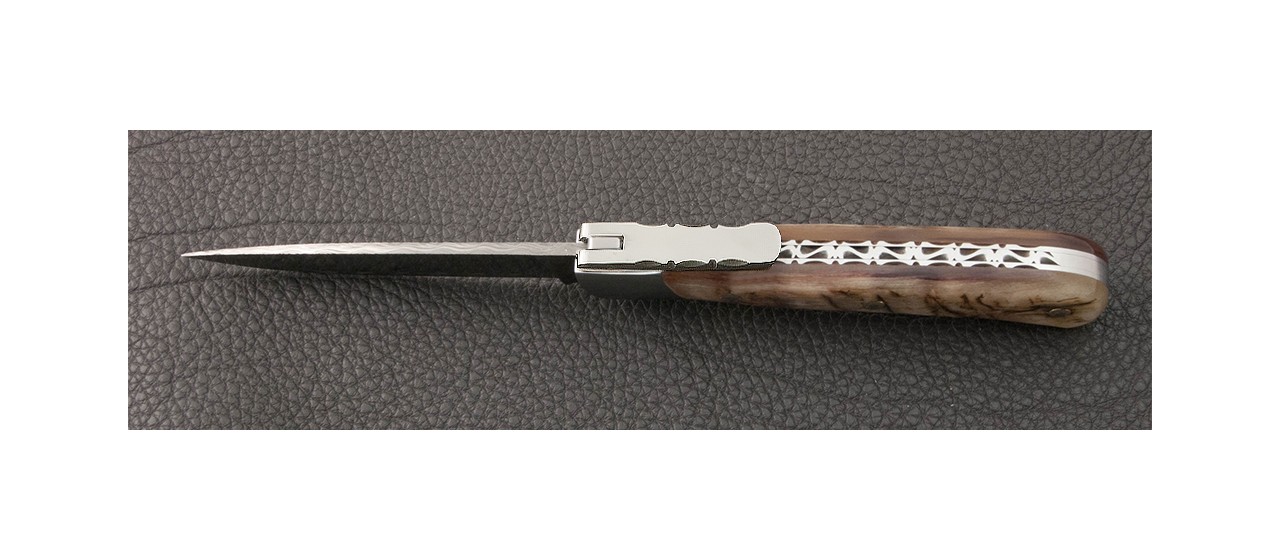 Real corsican knife ram horn handle