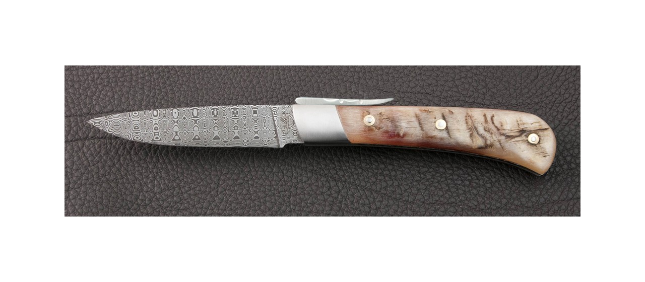 Real corsican knife ram horn handle