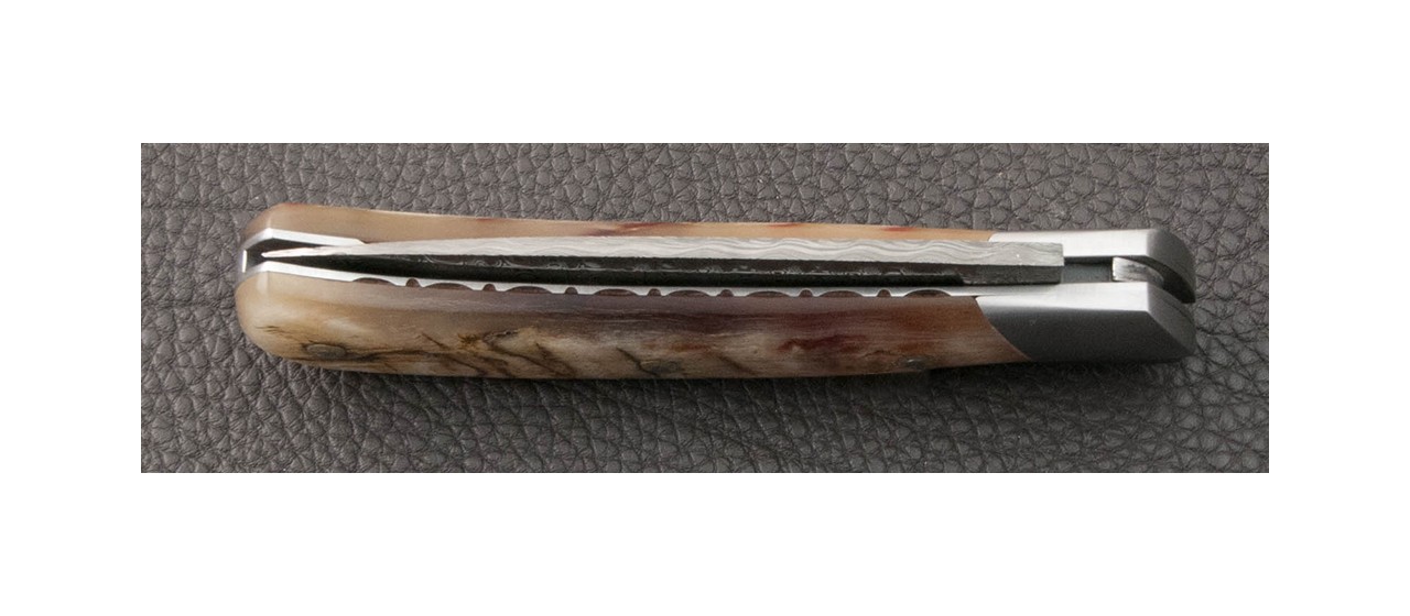 Real corsican knife ram horn handle