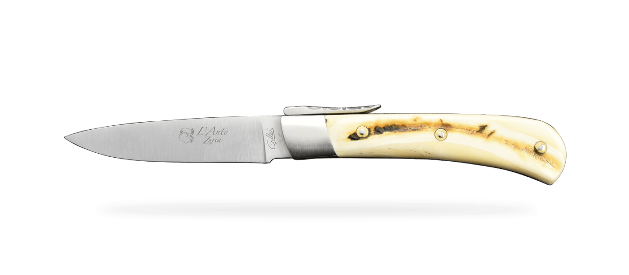 Corsican knife warthog ivory handmade in France