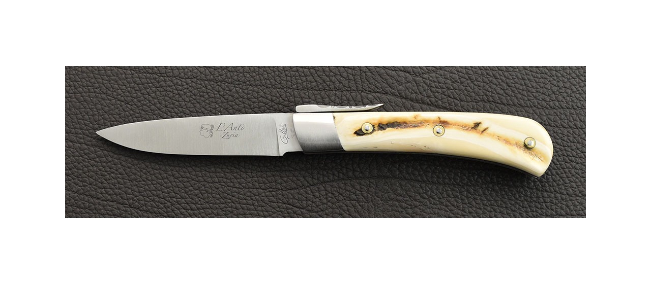 Corsican knife warthog ivory handmade in France