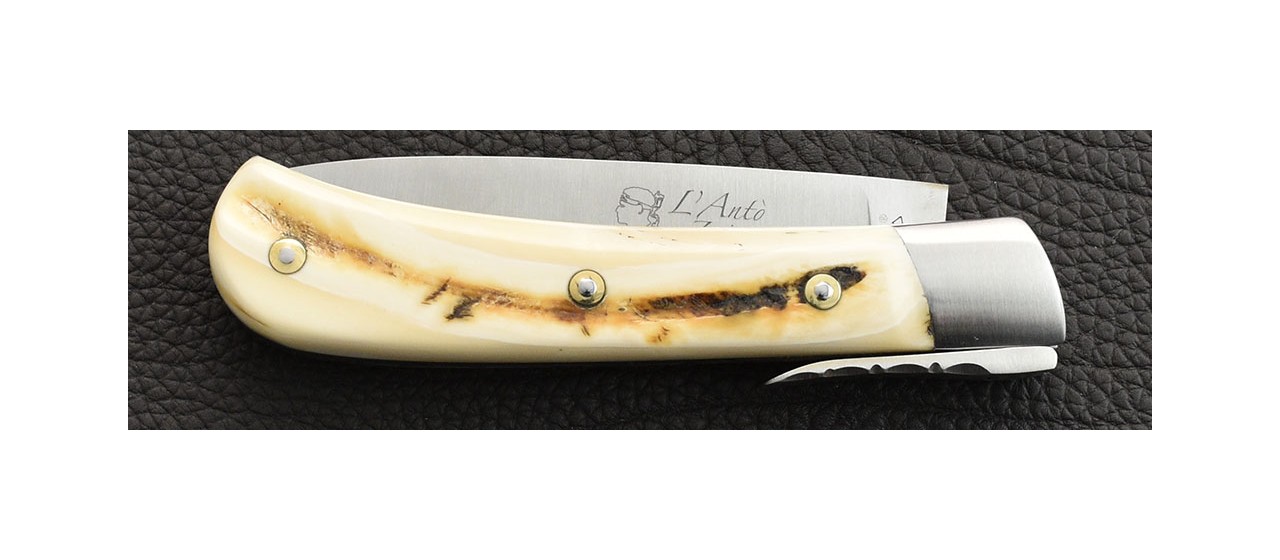 Corsican knife warthog ivory handmade in France