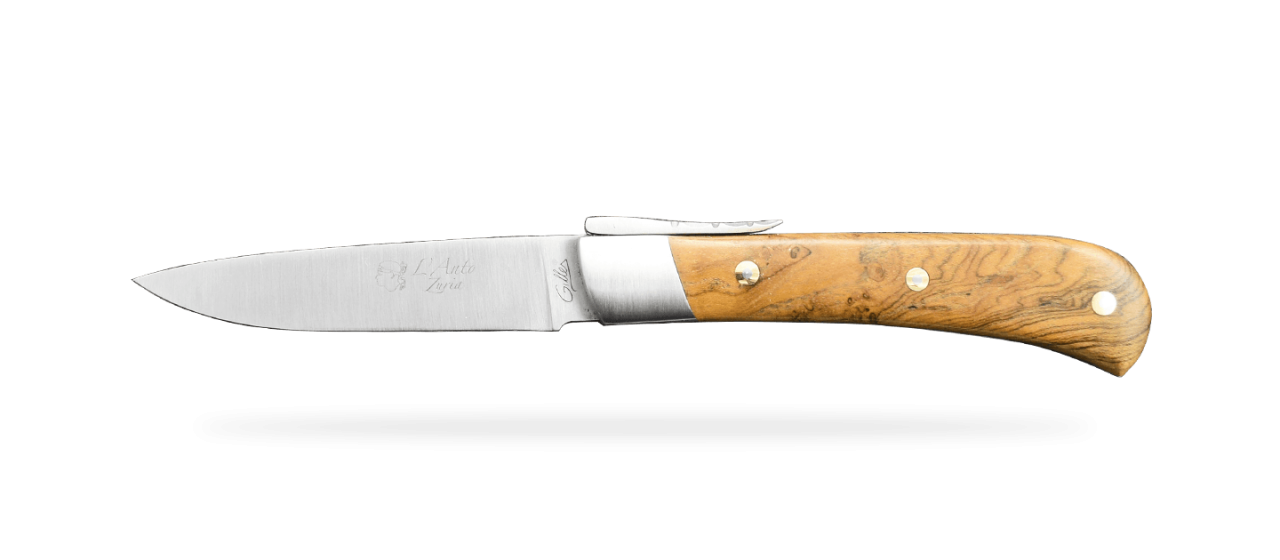 Corsican knife teak burl hanmade in France
