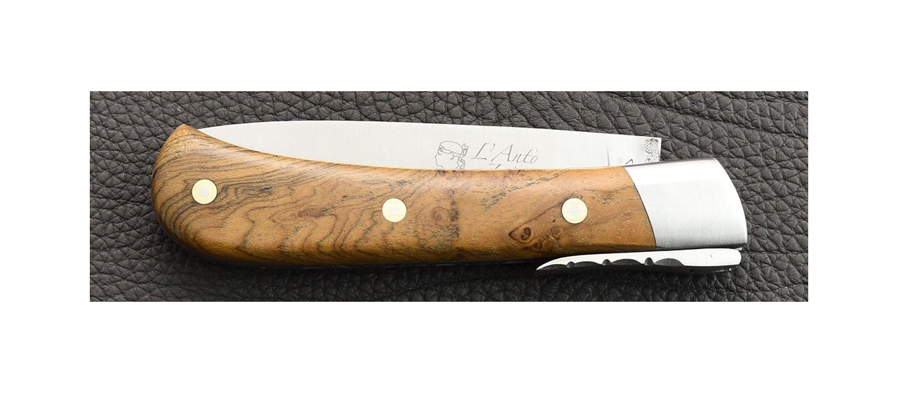 Corsican knife teak burl hanmade in France