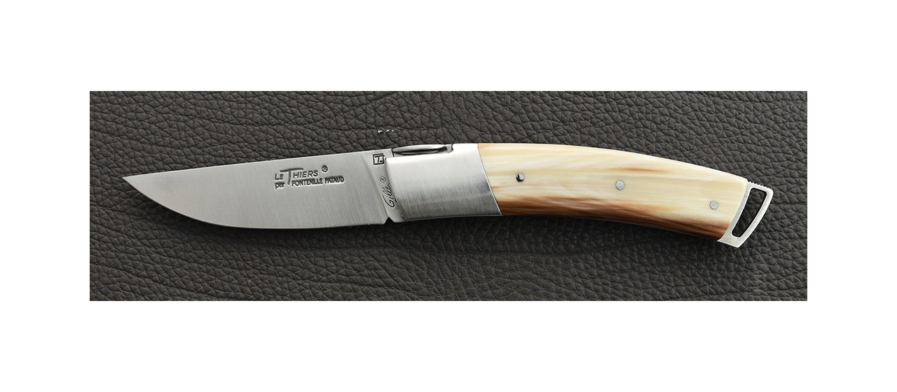 Le Thiers ® Gentleman knife cow horn tip